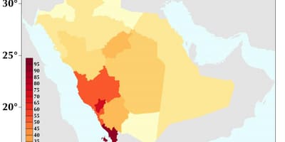 沙特阿拉伯的人口密度地图